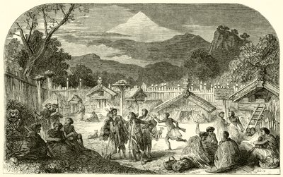 A Fortified PA in New Zealand by English School