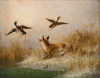 A Fox Flushing a Mallard and a Duck by English School