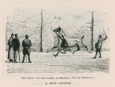 A High Stepper - this horse was not bought at Hamleys but at Tattersalls by English School