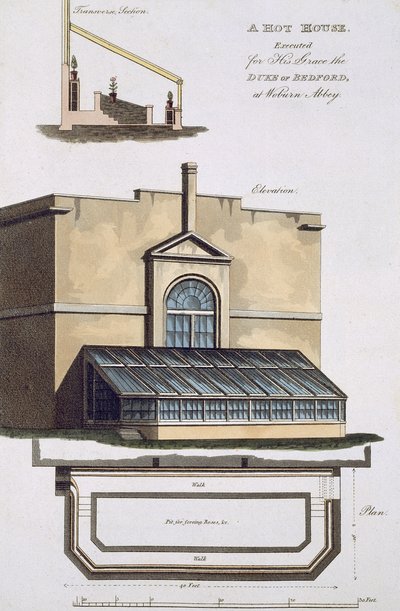 A Hot House for the Duke of Bedford at Woburn Abbey, 1806 by English School