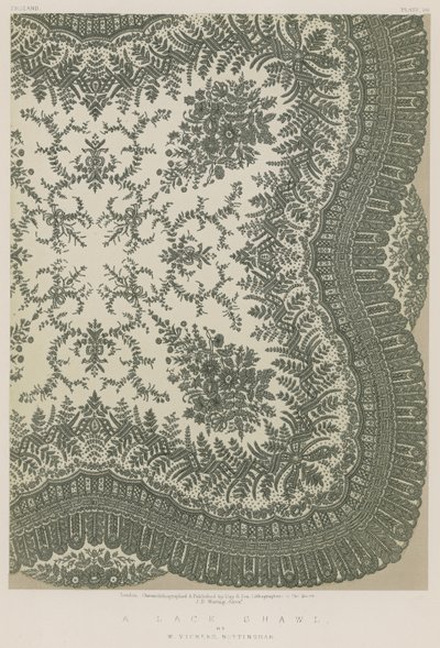 A Lace Shawl by English School