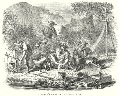 A Miner