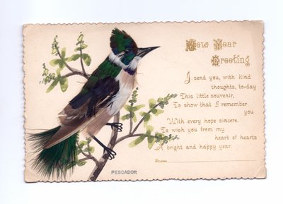 New Year Greeting Card of a Kingfisher by English School