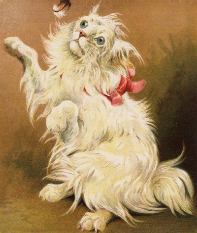 A Persian Pussy by English School