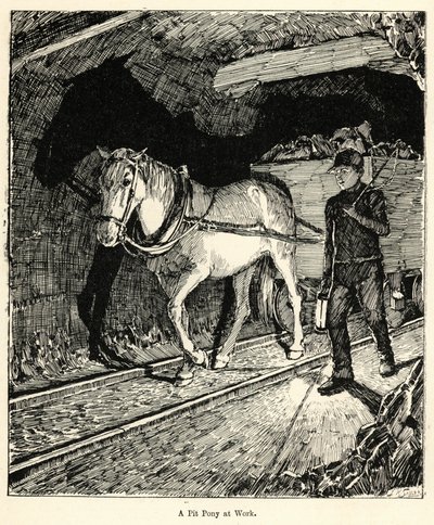 A Pit Pony at Work by English School