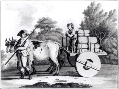 A Portuguese Farm, from A General View of the State of Portugal by James Murphy, published 1797 by English School