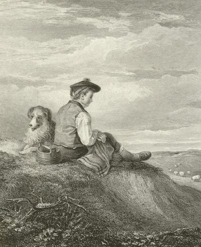 A Scottish Shepherd Boy by English School