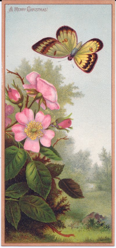 A Victorian Christmas Card Depicting a Butterfly and a Bush of Dog Roses by English School