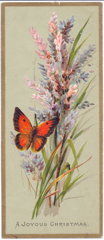 A Victorian Christmas card of a butterfly amongst tall grasses, c.1880 by English School