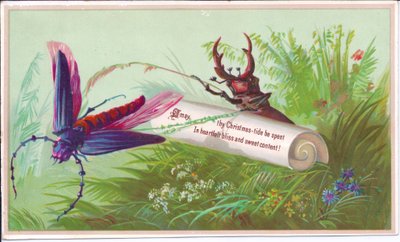 A Victorian Christmas Card of an Insect, Stag Beetle and Scroll on Which is a Christmas Message by English School