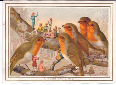 Victorian Christmas Card of Five Robins Perching on a Branch Listening to a Fairy Band by English School