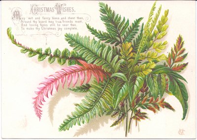 Victorian Christmas Card with Ferns by English School