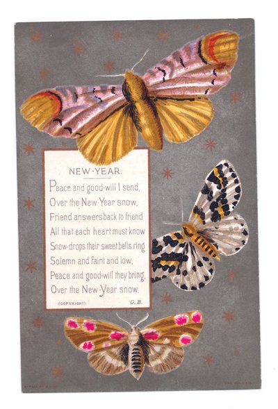 A Victorian New Year Card of Three Butterflies and a Verse by English School