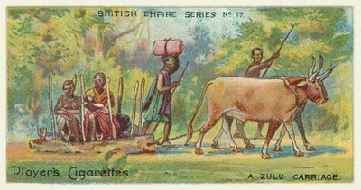 A Zulu Carriage by English School