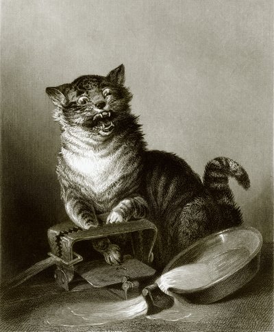 A Catastrophe by English School
