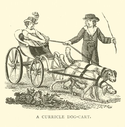 A curricle dog-cart by English School