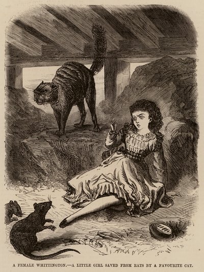 A female Whittington, a little girl saved from rats by a favourite cat by English School