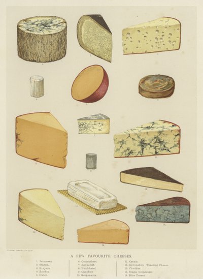 A Few Favourite Cheeses by English School