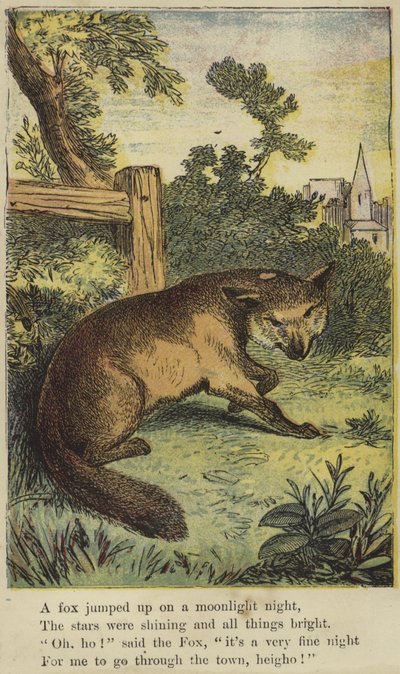 A Fox Jumped Up on a Moonlight Night by English School