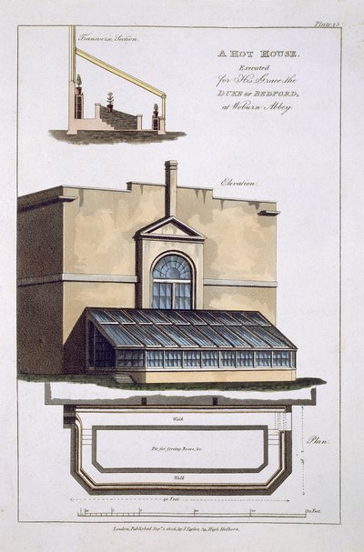 A Hot House for the Duke of Bedford at Woburn Abbey, 1806 by English School