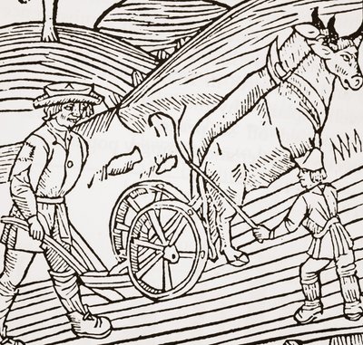 A pair of oxen yoked to a plough, titlepage from John Fitzherberts Boke of Husbandry, first pub. 1523 by English School