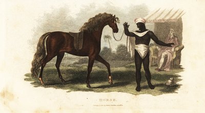 A Poor Arab Refuses to Sell His Mare to a Rich Buyer When He Discovers the Buyer is European by English School