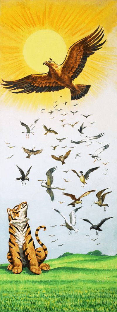 A Scene from the Folk-Tale King of the Birds by English School