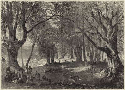 A View in Epping Forest by English School