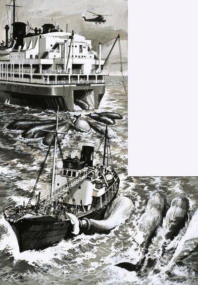 A Whaling Factory Ship by English School