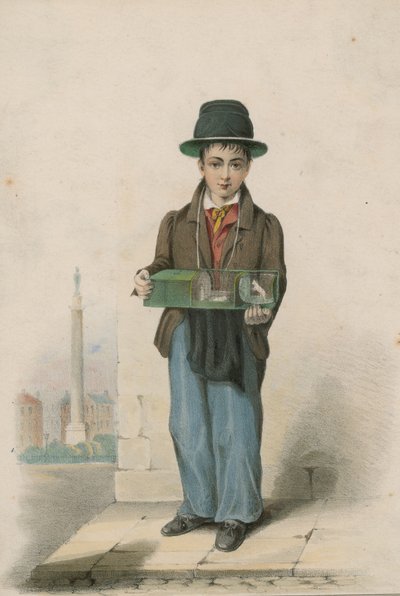A Young Boy Pictured Holding a Cage Containing White Mice by English School