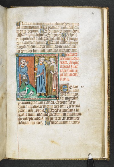 Aristotle pointing at birds brought to the king, from Secretum Secretorum by English School
