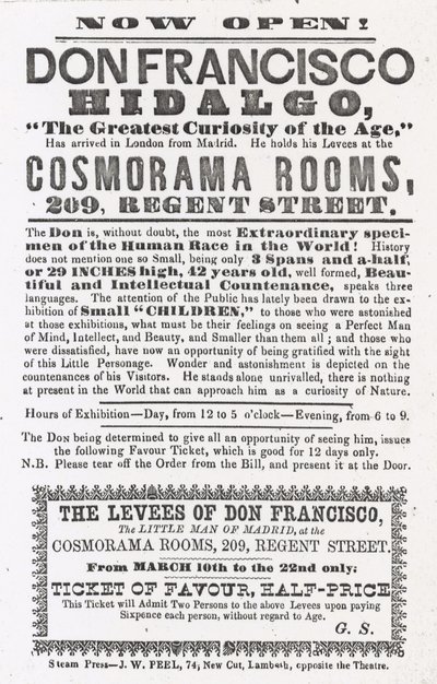 Advert for an Appearance of Don Francisco Hidalgo by English School