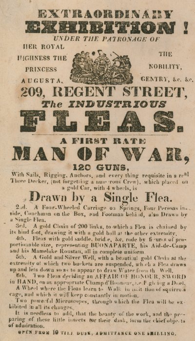 Advert for an Exhibition of The Industrious Fleas by English School