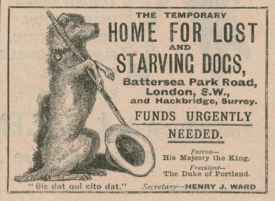 Advertisement for Battersea Dogs Home by English School
