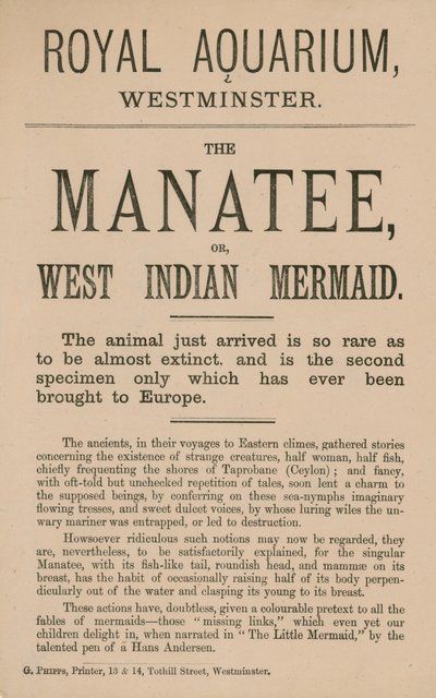 Advertisement for the Manatee by English School