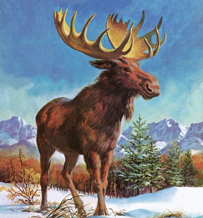 Alaska