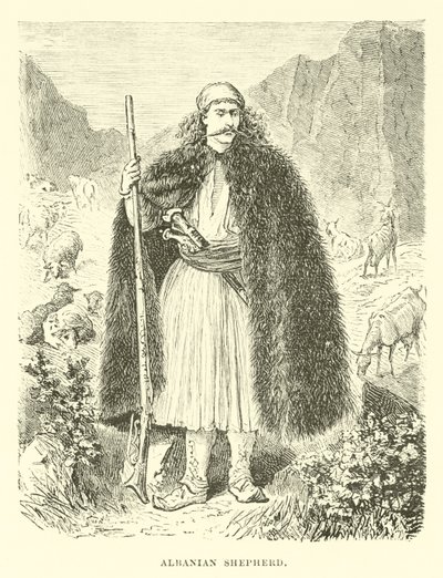 Albanian Shepherd by English School