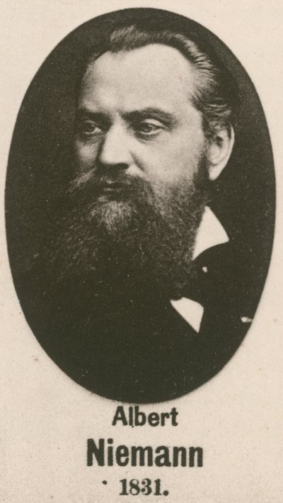 Albert Niemann by English School