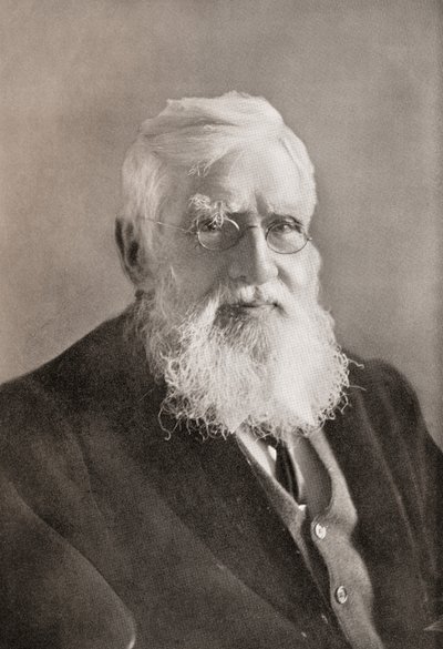Alfred Russel Wallace, from 