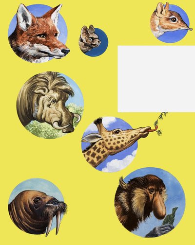 All Sorts of Muzzles and Snouts by English School