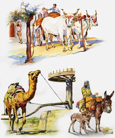All Sorts of Working Animals by English School