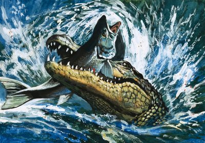 Alligator Eating Fish by English School