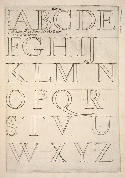 Alphabet Specimen Sheet by English School