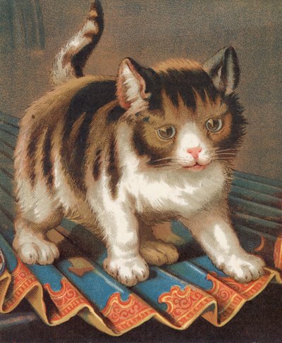 An Ambitious Puss by English School
