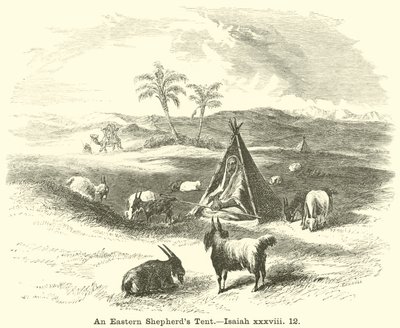 An Eastern Shepherd