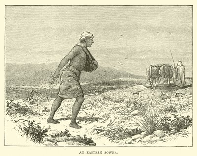 An Eastern Sower by English School