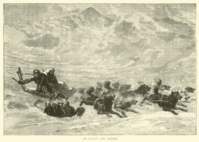 An Eskimo Dog Sledge by English School