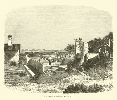 An Indian Indigo Factory by English School