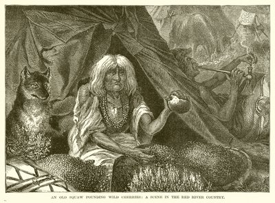 An Old Squaw Pounding Wild Cherries: A scene in the Red River Country by English School
