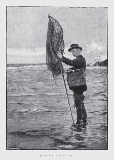An amateur shrimper by English School